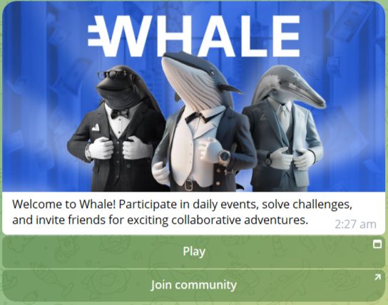 WhaleCommunityChat