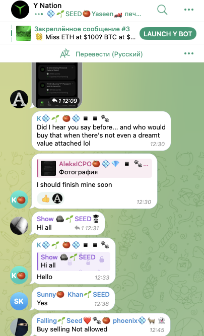 y bot telegram