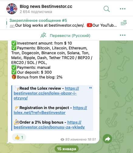 bestinvestor chat bot