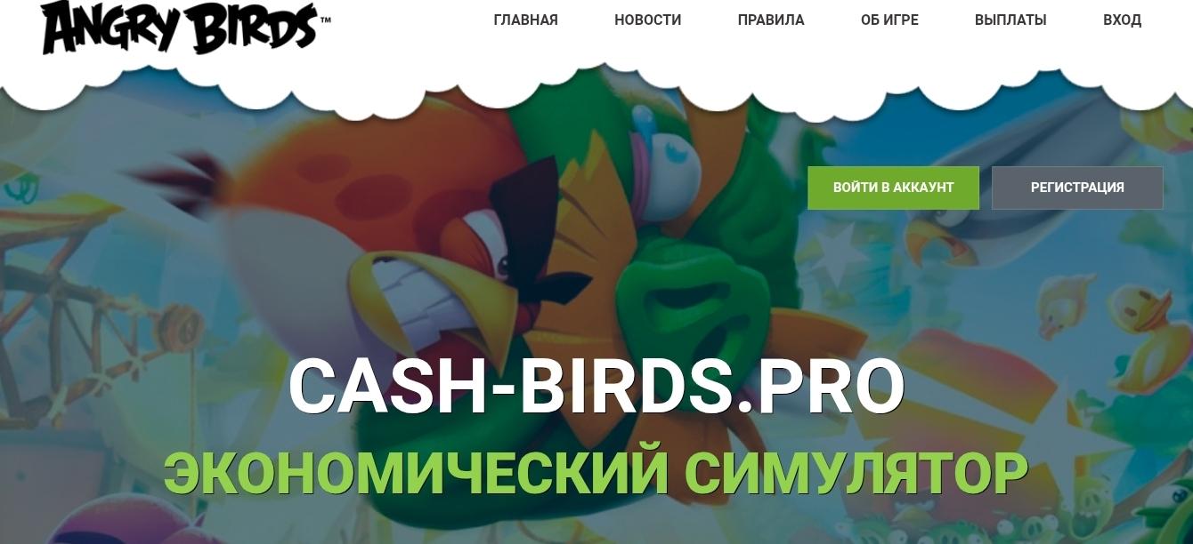 cash birds