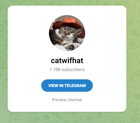 catwifhat криптовалюта