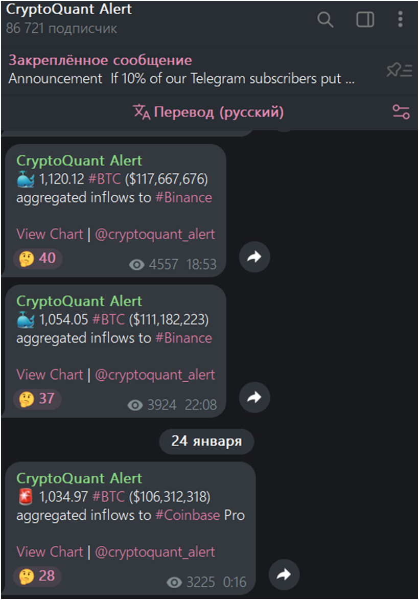 cryptoquant com