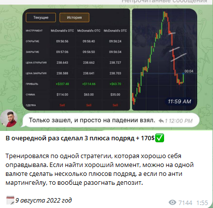 дневник трейдера 2024 elnur trade