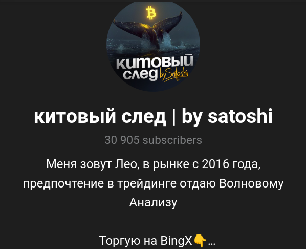 китовый след by satoshi