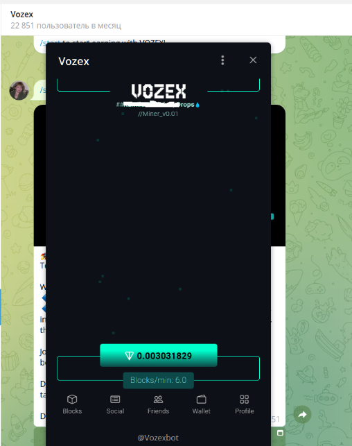 vozex