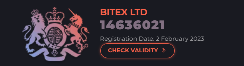 bitexcapital