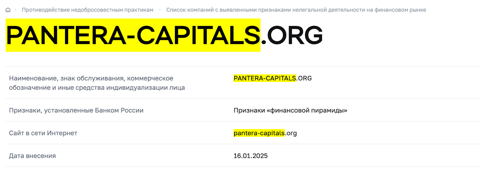 pantera capitals