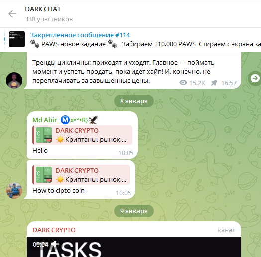 dark crypto тг канал