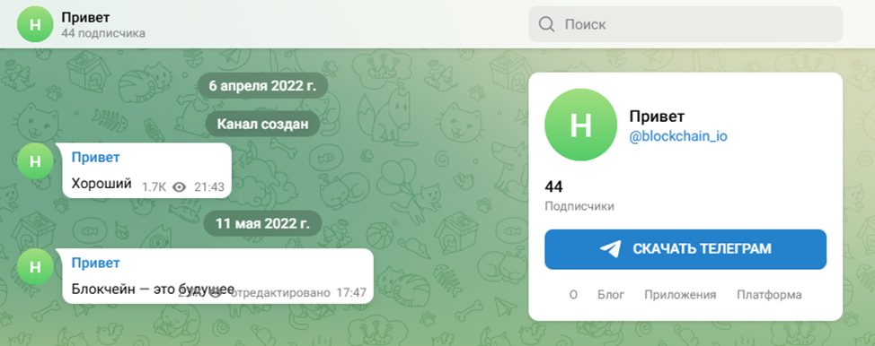 paymium finance bot отзывы