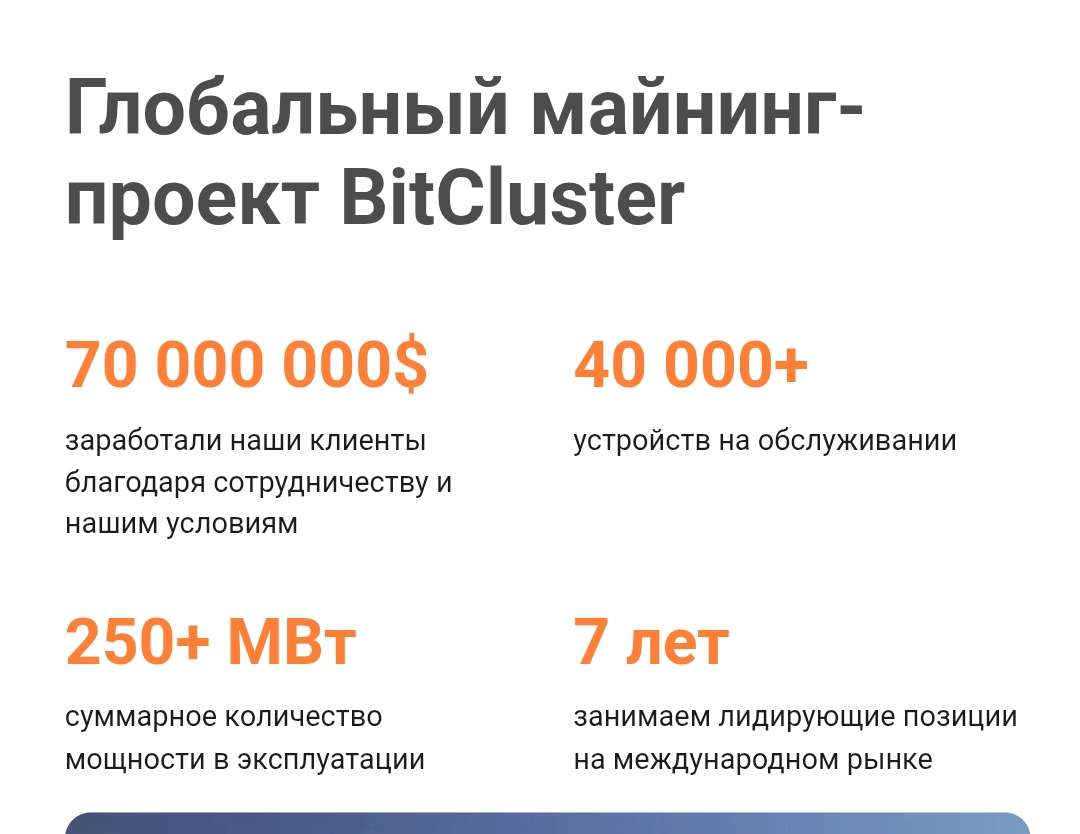 bitcluster майнинг отель отзывы