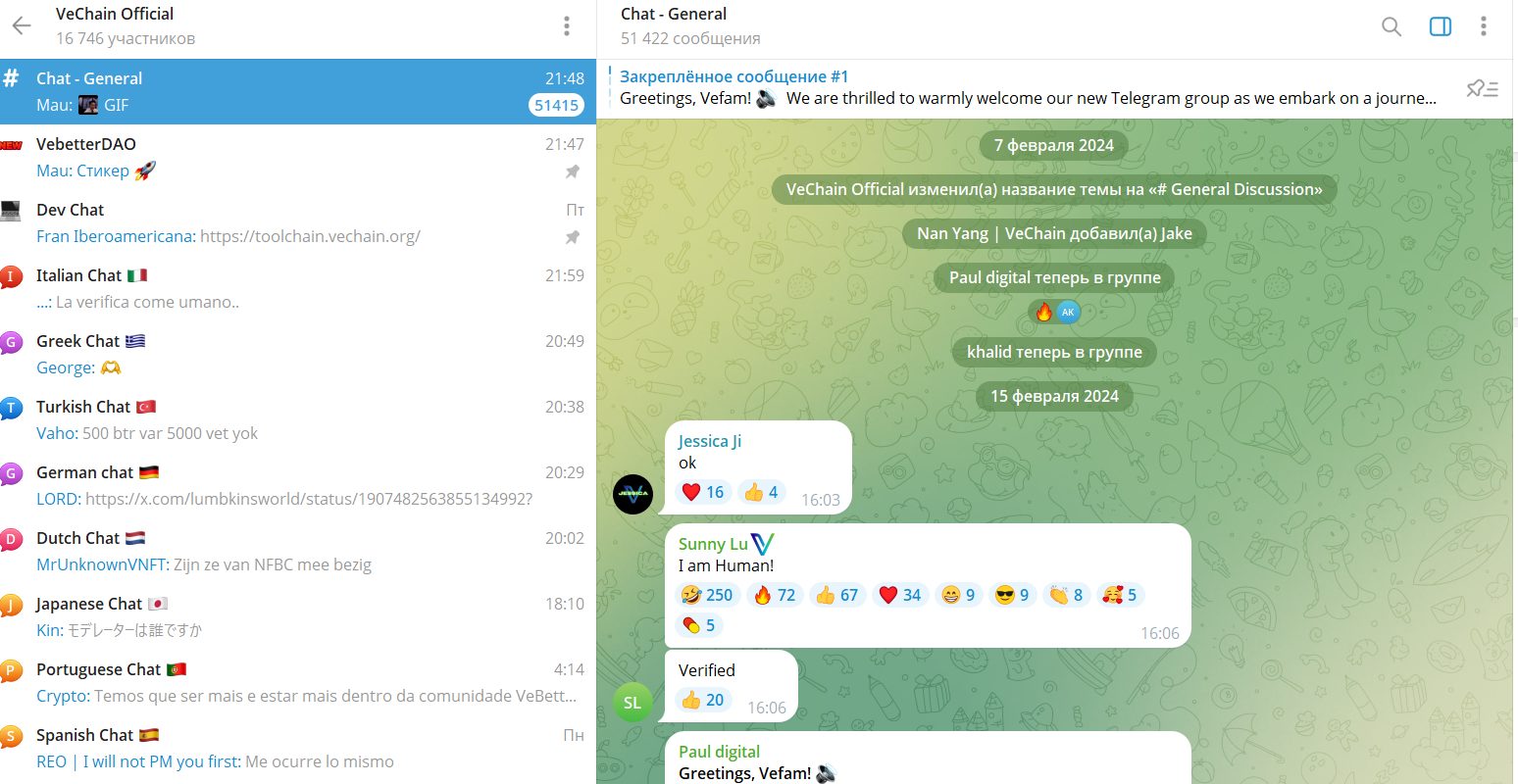vechainandfriends