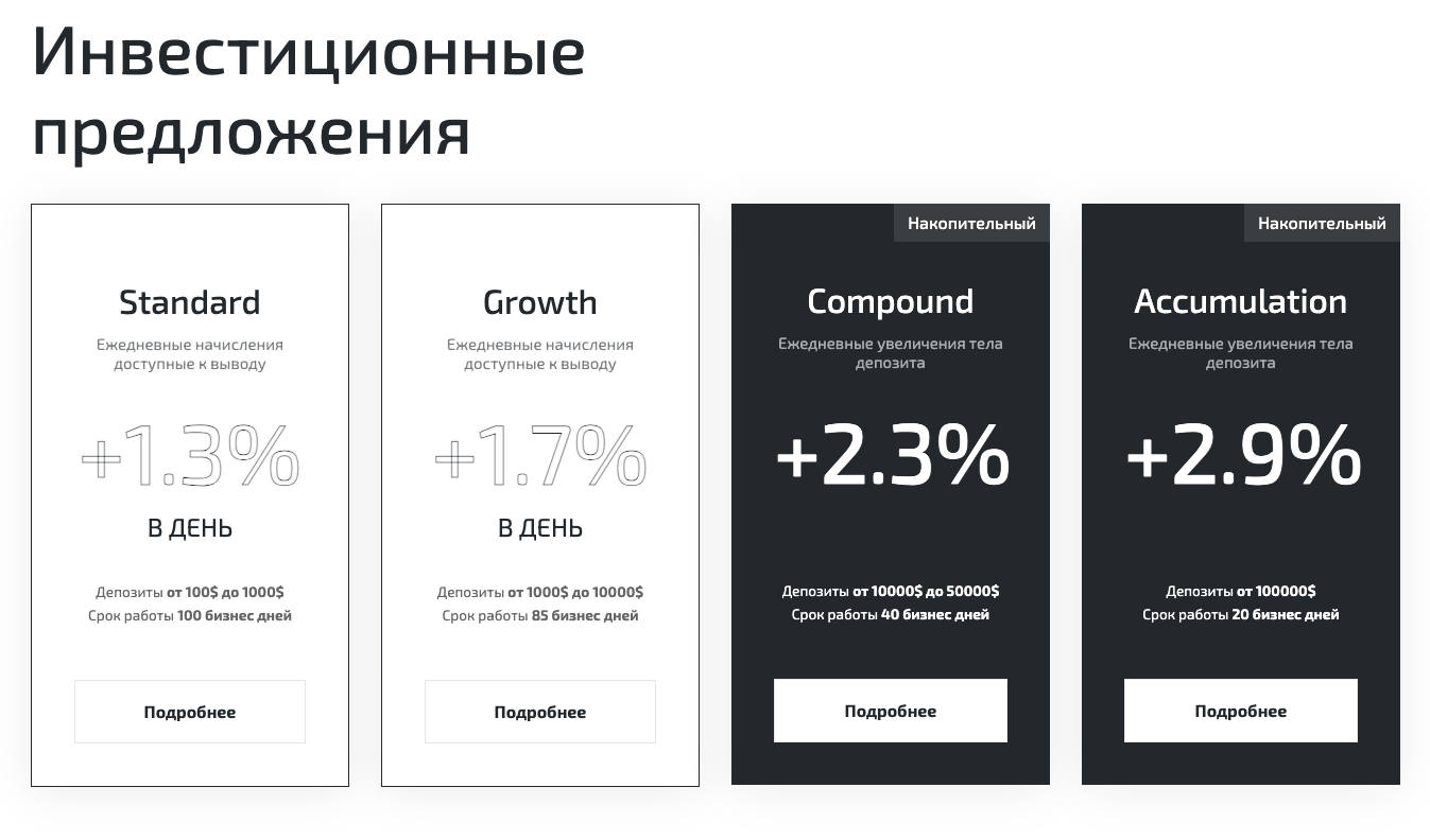 white lion investments