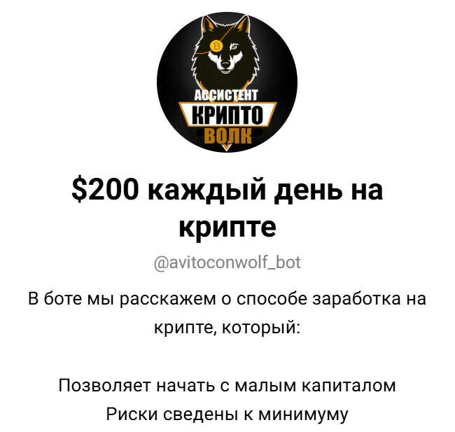 200 каждый день на крипте отзывы
