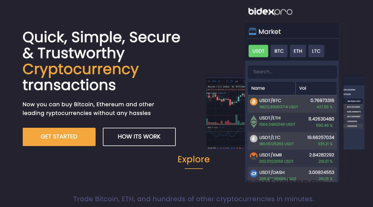 bidex обменник