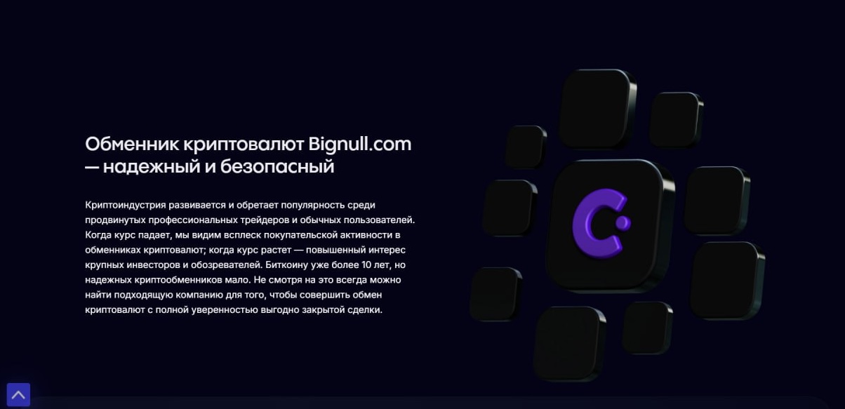 bignull обменник