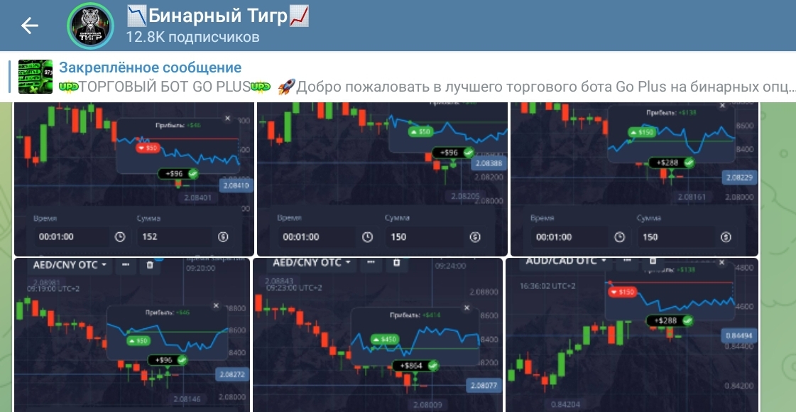 бинарный тигр отзывы