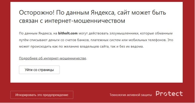 Bitholt отзывы