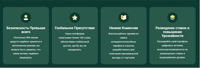 Bitholt отзывы