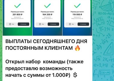 бизнес партнерство с софией отзывы