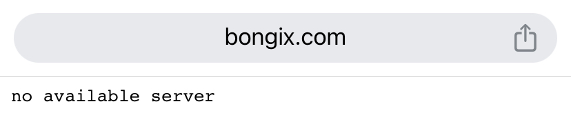 bongix
