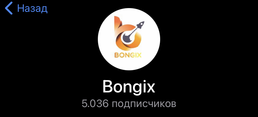 bongix отзывы