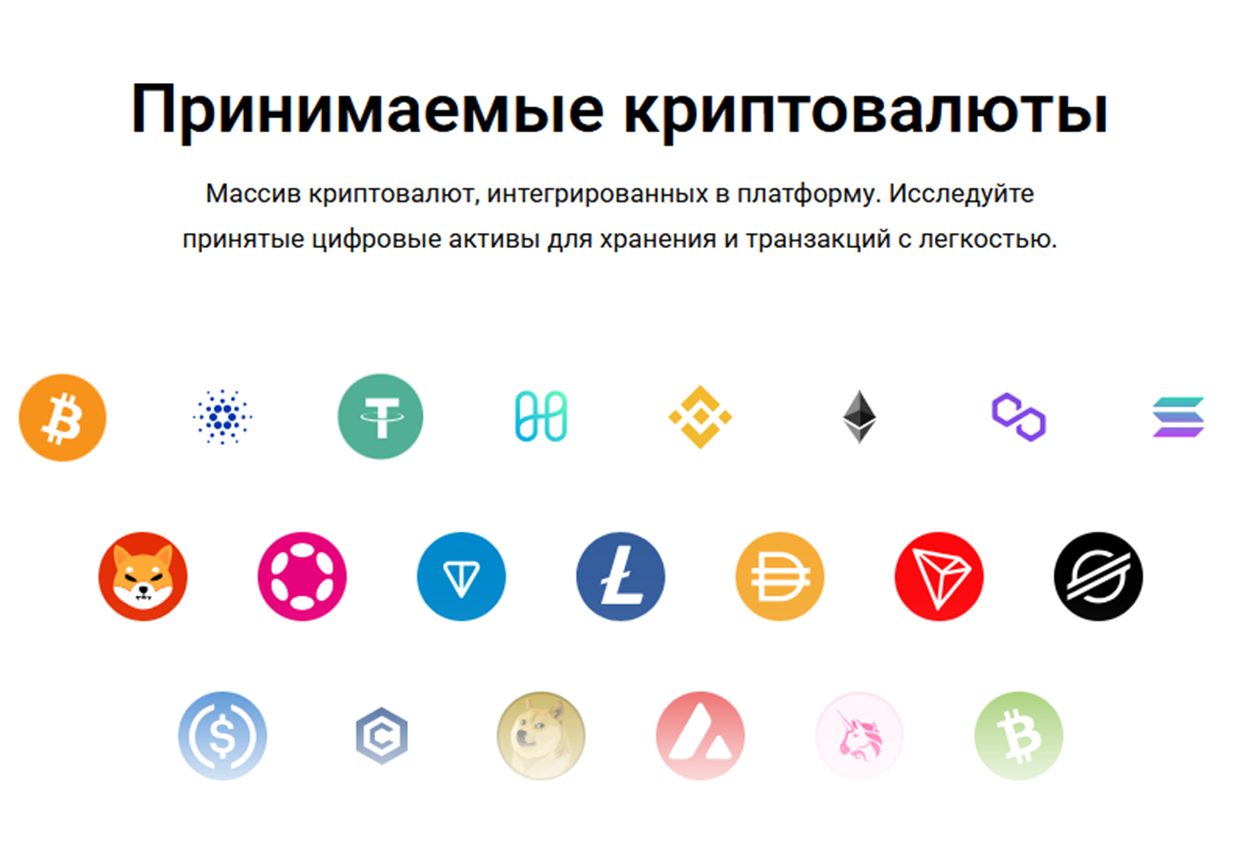 coinfy pro
