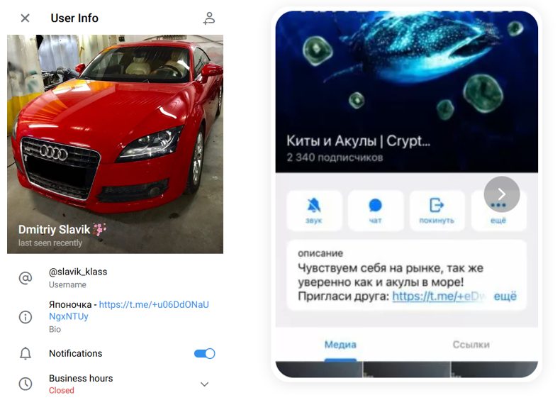 дмитрий катушадзе телеграмм отзывы