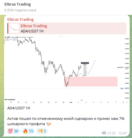 Elbrus Trading