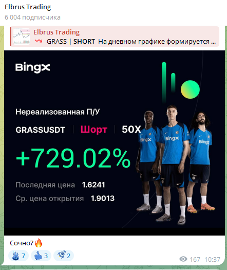 Elbrus Trading