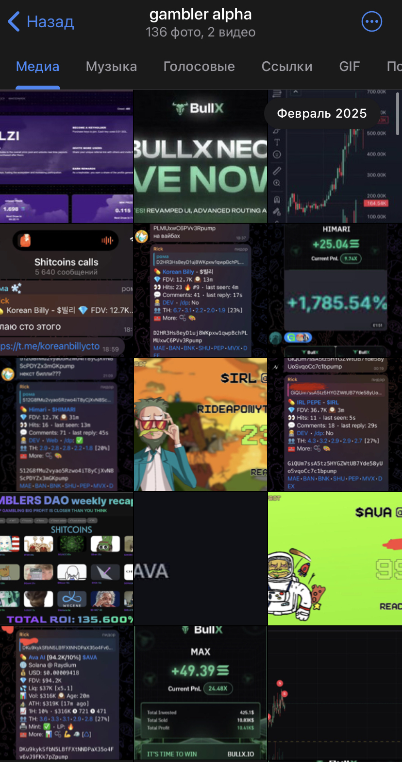 gambler alpha