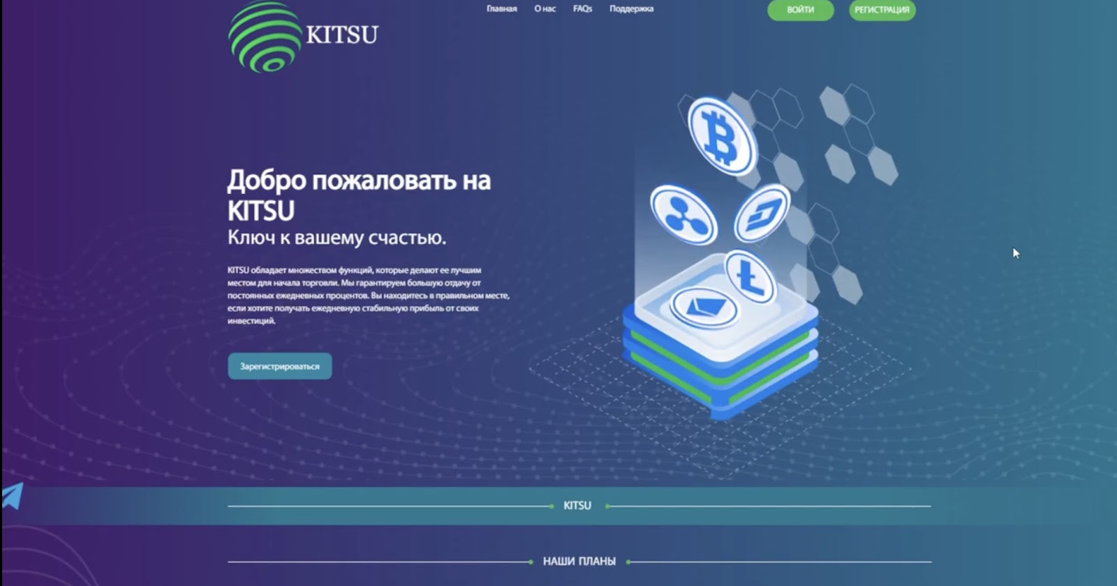 kitsu buzz