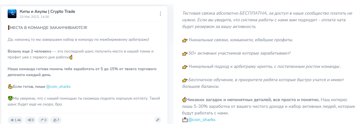 киты и акулы тг канал