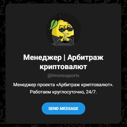 limonsupports отзывы