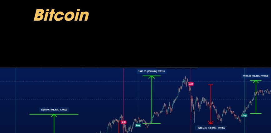 market whalex bot