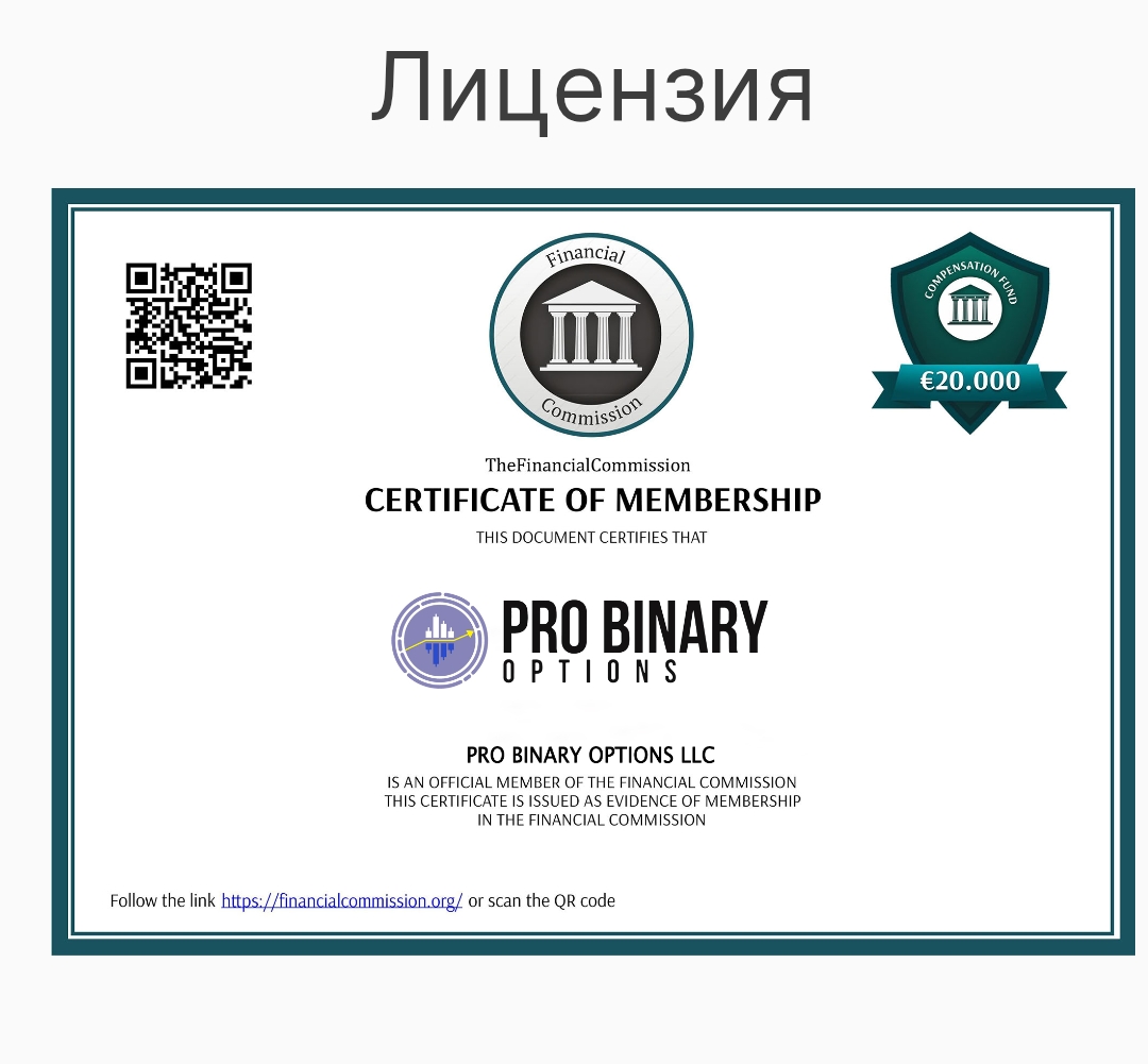 pro binary options net