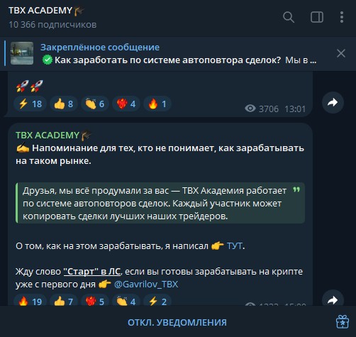 tbx academy отзывы