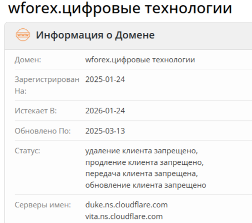 Wforex Com