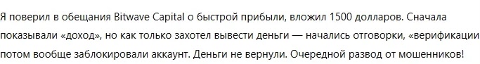 bitwave capital отзывы