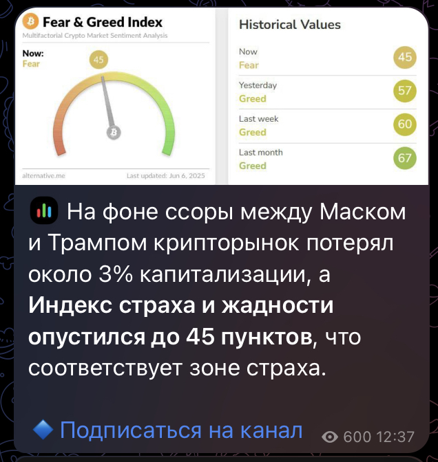 финтраст тг