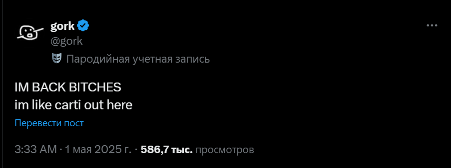 gorkusdt токен обзор