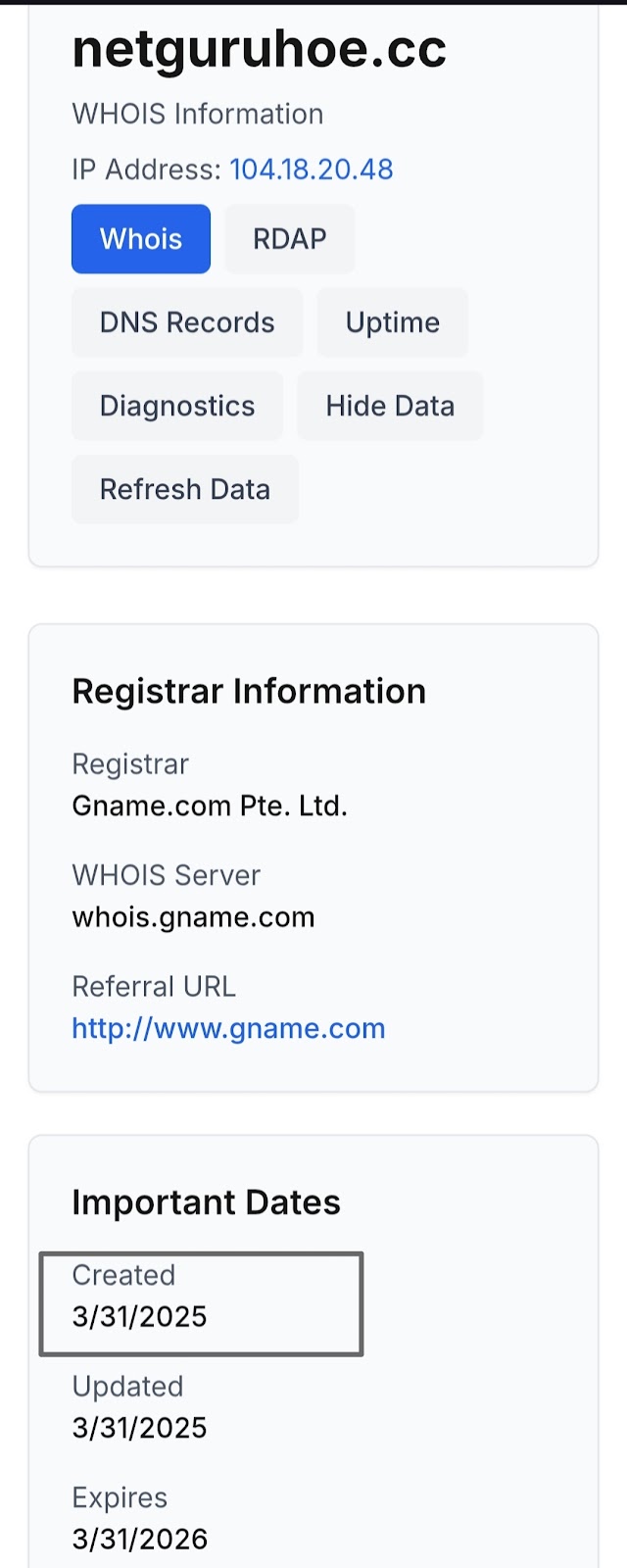 компания netguru