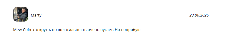 mew мем коин