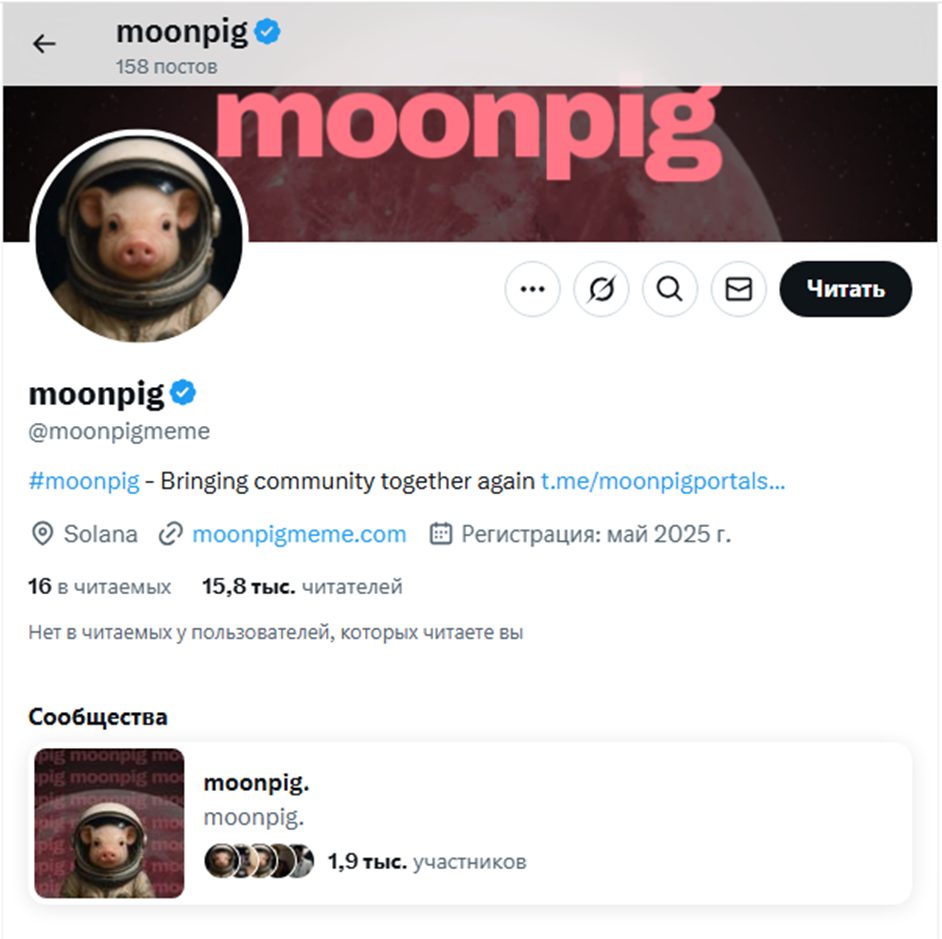 moonpig token coin