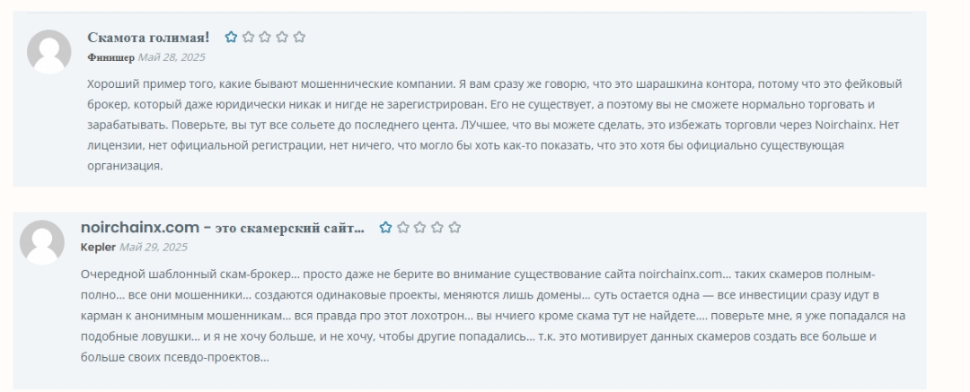 noirchainx отзывы биржа