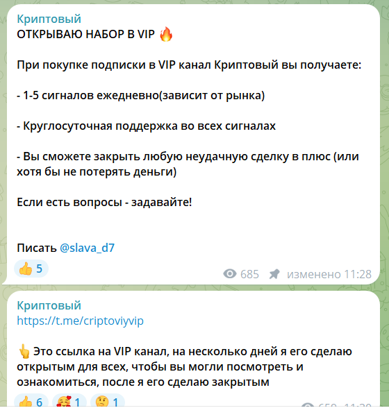 slava d7