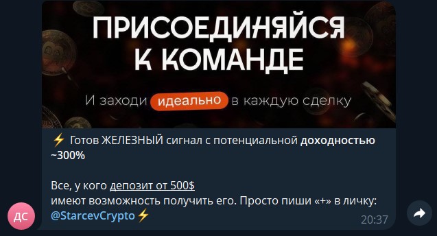старцев крипто