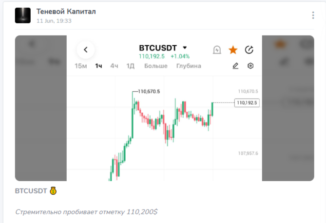 Теневой Капитал трейдер