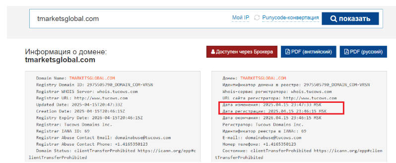 tm global отзывы