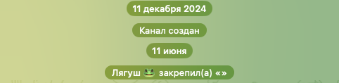 vaza tim