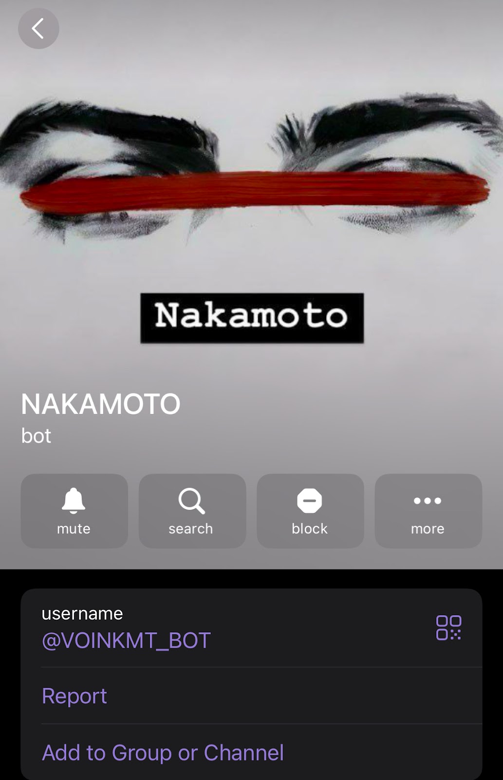 VOINKMT BOT